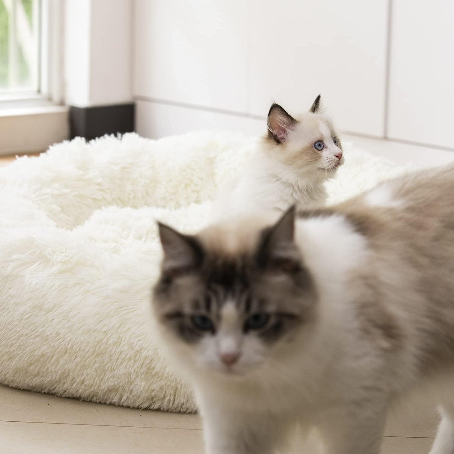 anti Anxiety round Fluffy Plush Faux Fur Warm Washable Dog Bed & Cat Bed, Original Bed for Small Medium Large Pets,Used to Relieve Joints and Improve SleepοΌ20"/24"/27''οΌ (27", White)